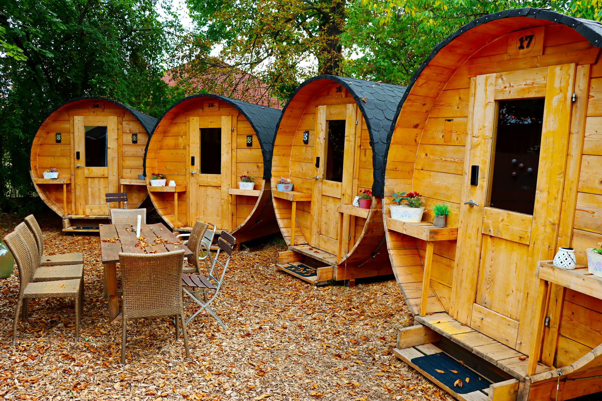 Cozy wooden barrel cabins in a serene forest, perfect for outdoor retreats.