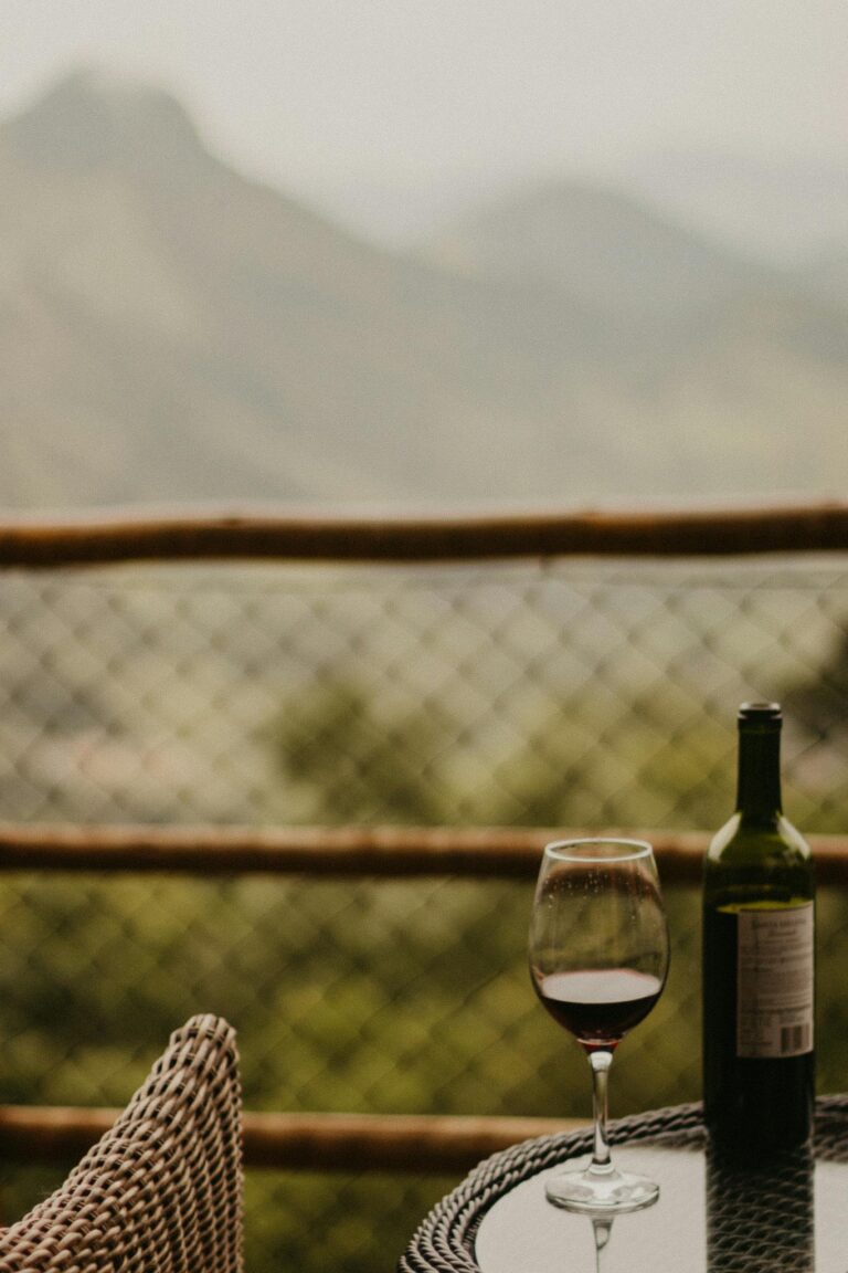 Enjoy a serene wine retreat with a breathtaking mountainous backdrop.