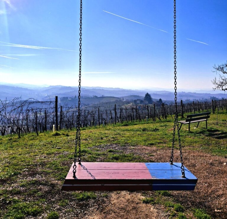 Wine Tasting in Piedmont: How to Plan the Perfect Vineyard Escape