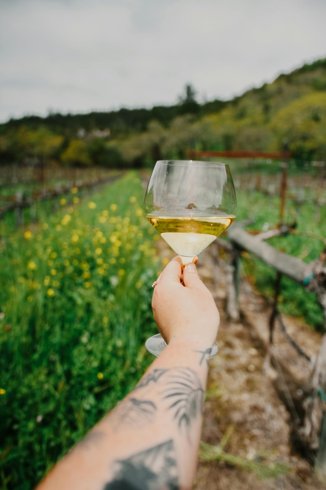 Tattooed hand holding a glass of white wine in a lush vineyard setting, vibrant and serene.